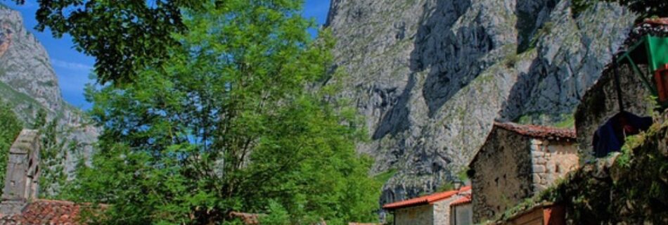 ALOJAMIENTO SENDA DEL OSO