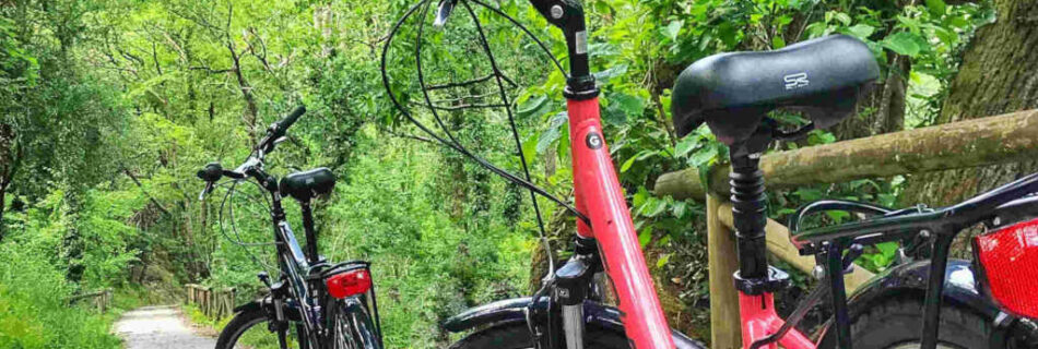 Senda del Oso en bici