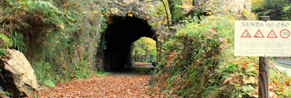 Senda del Oso en otoño