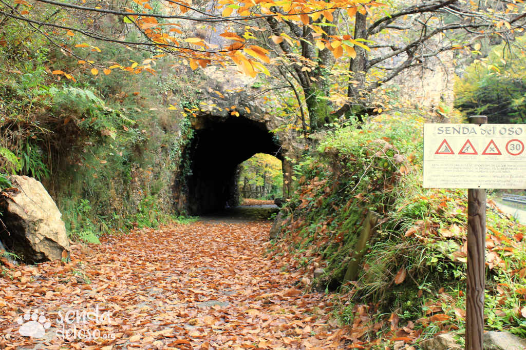 Senda del Oso en otoño