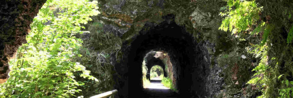 Senda del Oso tramo más bonito