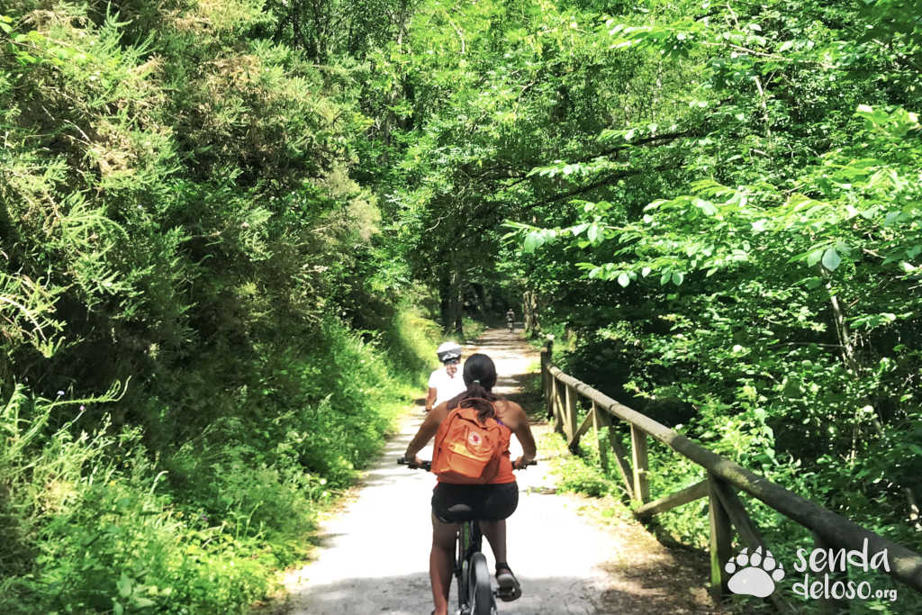 senda del oso con niños