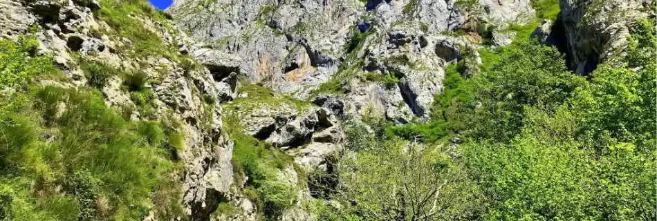 alquiler bicis senda del oso