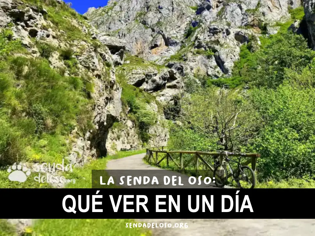 SENDA DEL OSO QUE HACER EN UN DIA