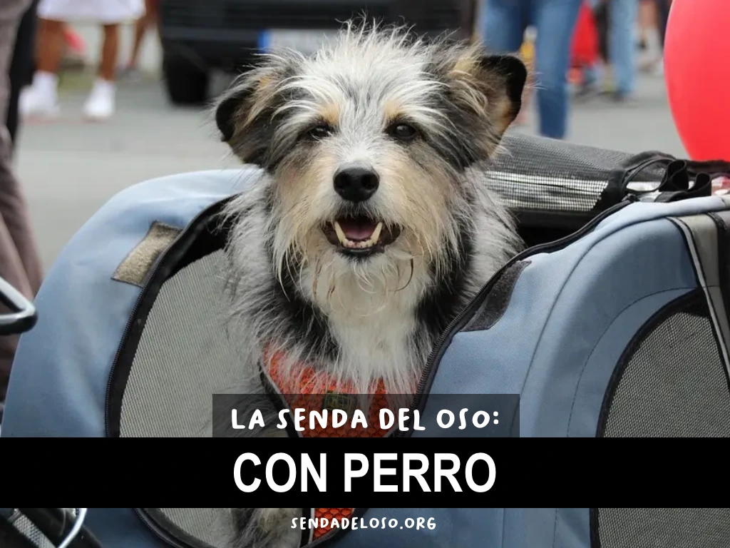 SENDA DEL OSO CON PERRO