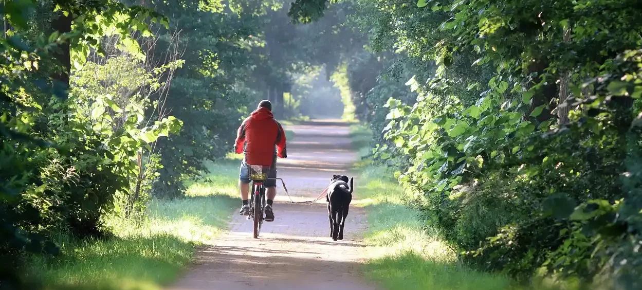 senda del oso con perro