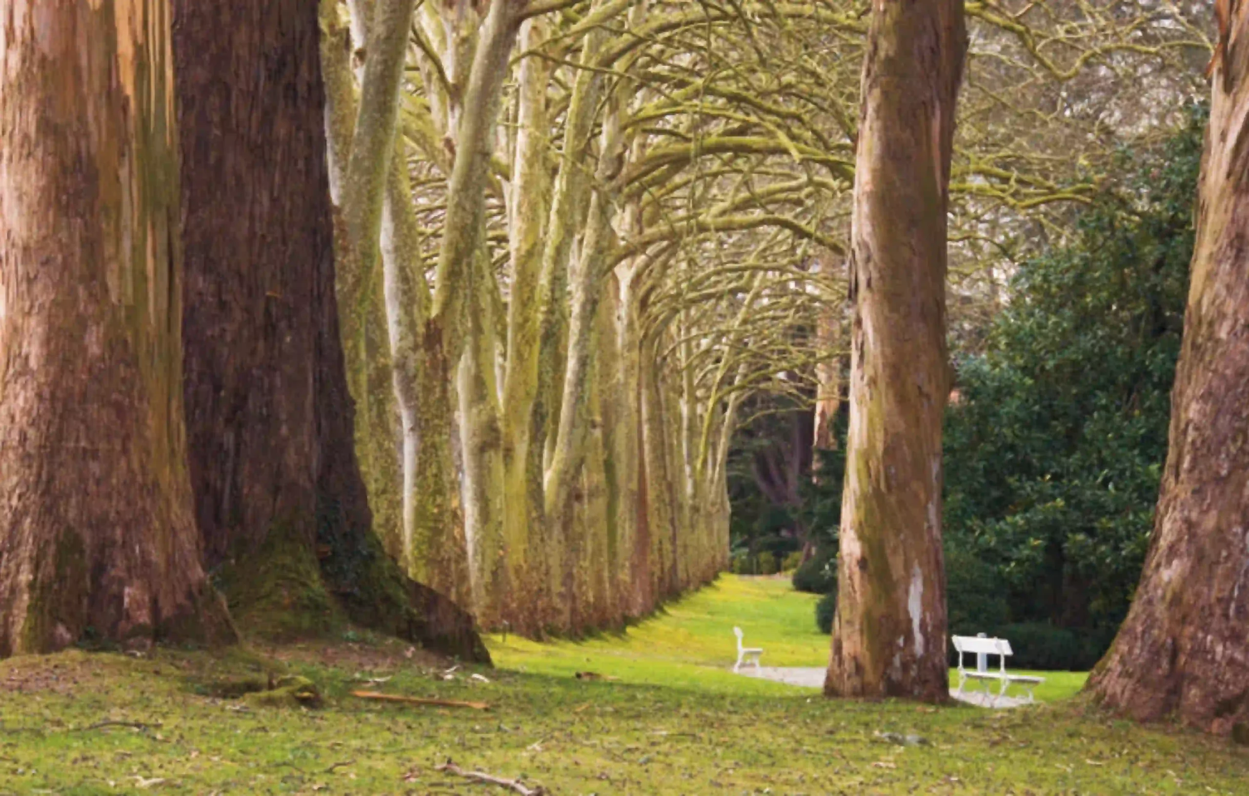 jardín botánico atlántico gijón