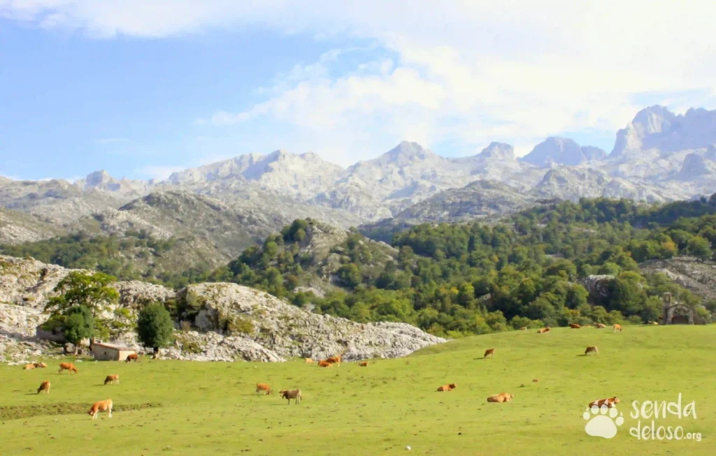 picos de europa