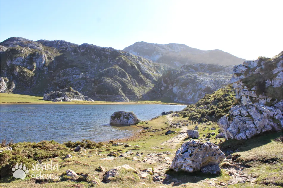 lagos covadonga