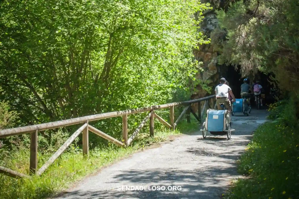 SENDA DEL OSO ASTURIAS