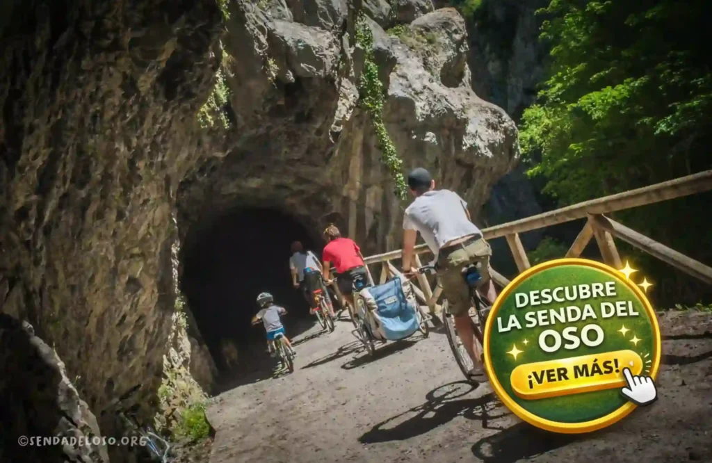 descenso bici senda del oso